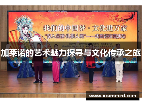 加莱诺的艺术魅力探寻与文化传承之旅