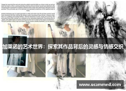 加莱诺的艺术世界：探索其作品背后的灵感与情感交织