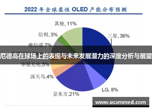 厄德高在球场上的表现与未来发展潜力的深度分析与展望