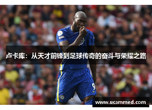 卢卡库：从天才前锋到足球传奇的奋斗与荣耀之路