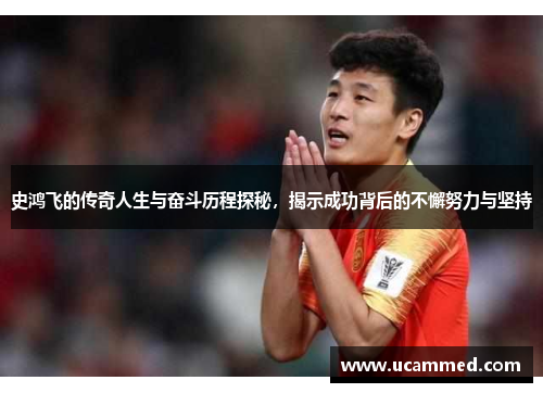 史鸿飞的传奇人生与奋斗历程探秘，揭示成功背后的不懈努力与坚持