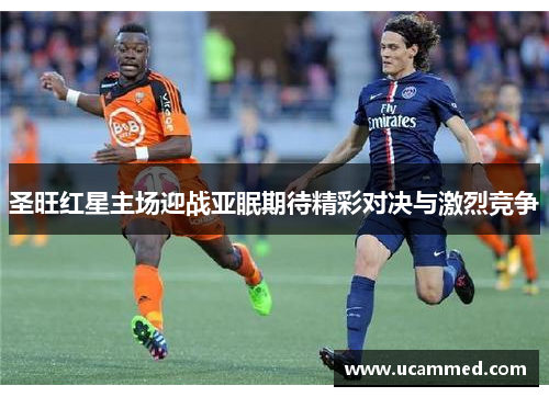 圣旺红星主场迎战亚眠期待精彩对决与激烈竞争