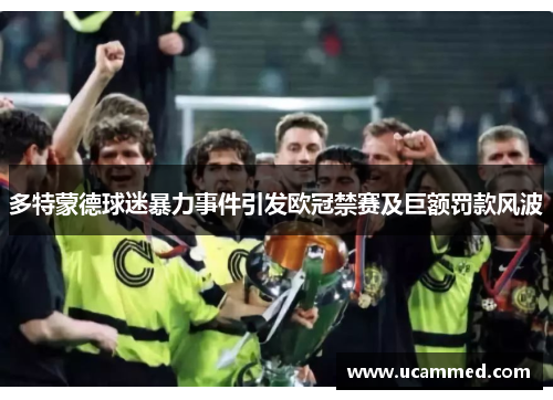 多特蒙德球迷暴力事件引发欧冠禁赛及巨额罚款风波