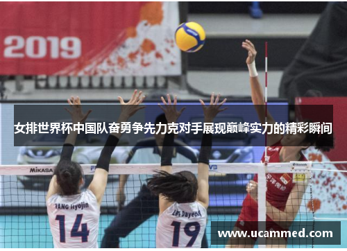 女排世界杯中国队奋勇争先力克对手展现巅峰实力的精彩瞬间