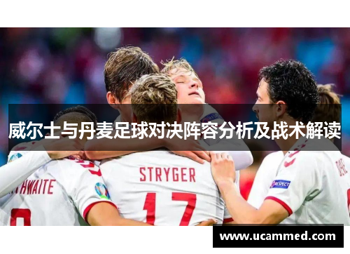 威尔士与丹麦足球对决阵容分析及战术解读
