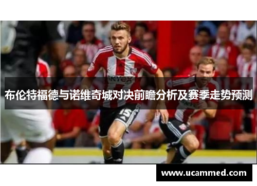 布伦特福德与诺维奇城对决前瞻分析及赛季走势预测