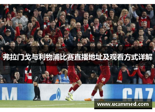 弗拉门戈与利物浦比赛直播地址及观看方式详解