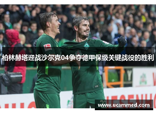 柏林赫塔迎战沙尔克04争夺德甲保级关键战役的胜利