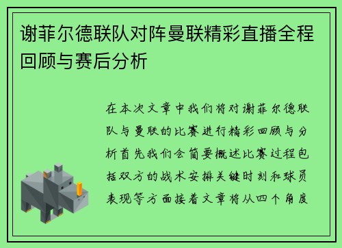 谢菲尔德联队对阵曼联精彩直播全程回顾与赛后分析